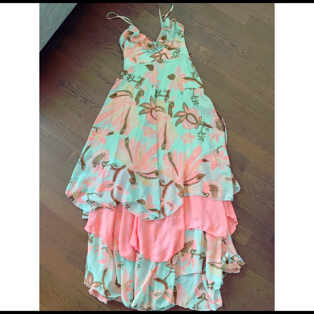 H&M Paisley Maxi Dress